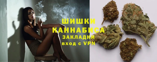PSILOCYBIN Аркадак