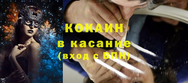 PSILOCYBIN Аркадак