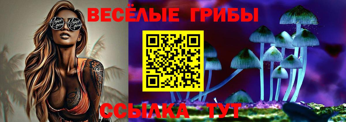 Псилоцибиновые грибы мицелий Лянтор